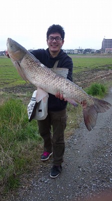 2012/03/29 佐賀にもいた巨大魚